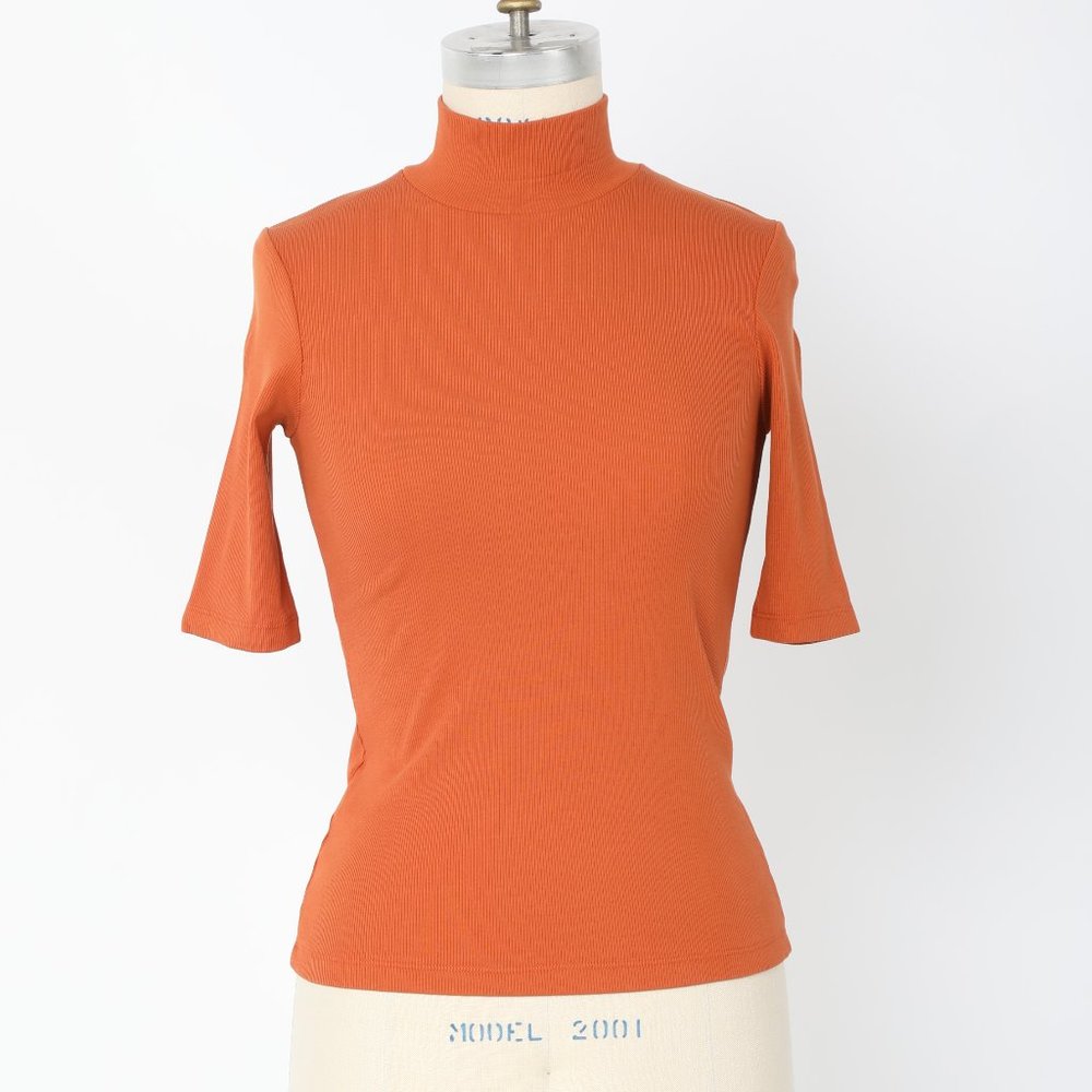 2x1 Rib Mock Neck in Yarn
